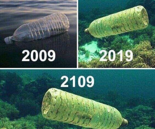 plastic bottles plastic bottles